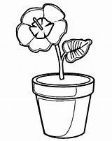 Flower Pot Printable For Kids coloring Page  Download Print Or Color sketch template
