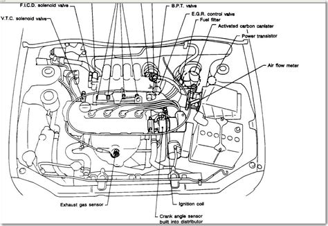 Discover the Anatomy of a Nissan Sentra: A Visual Guide to Body Parts