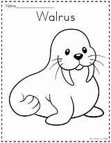 Arctic Animals Coloring Pages For Preschoolers sketch template