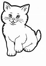 Cat Coloring Pages  Team Colors sketch template