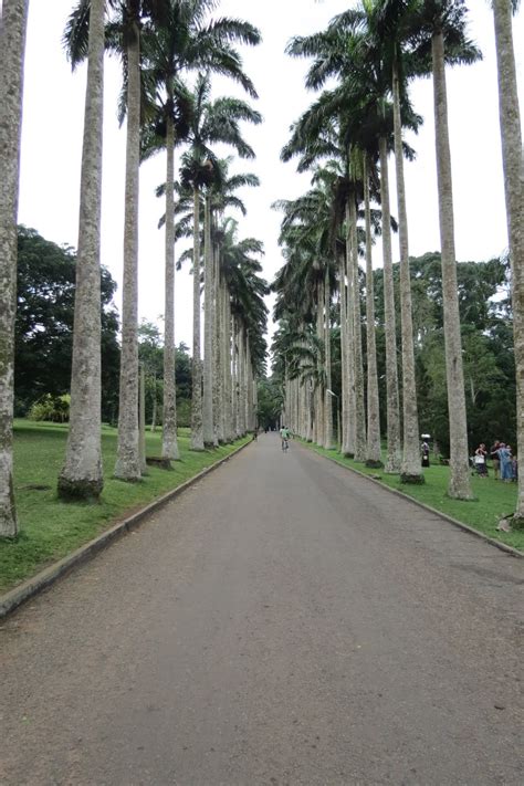 Dewdrops of Joy: Aburi Botanical Gardens