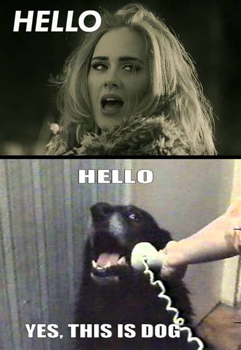 28 Adele Hello Meme Pictures Because You Really Didn't Hear That Song Enough Today