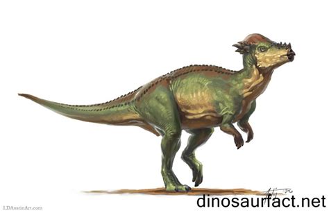 Pachycephalosaurus dinosaur