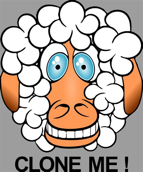 Clipart - funny sheep