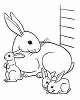 Rabbit Family  Rabbits & Bunnies Kids Coloring Pages sketch template
