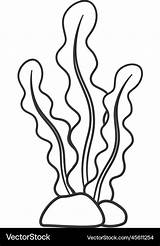 Seaweed Plants Clipart Coloring Ocean Drawing Pages Underwater Sea  sketch template