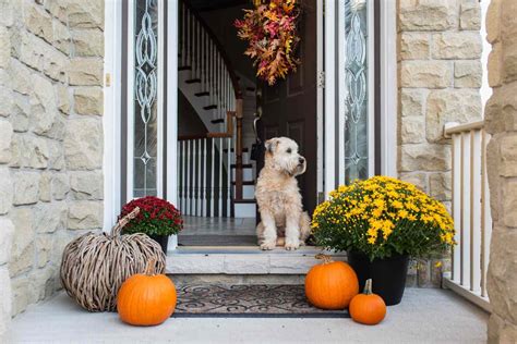 Fall Decor Pieces For Your Front Porch Starting at $10 at Amazon