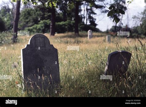 Old abandoned cemetery Stock Photo - Alamy