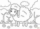 Sheep Coloring Page Full Size sketch template