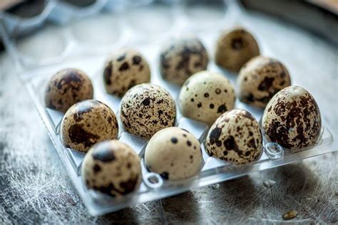 10 Quail Eggs (Kada Mutta) Health Benefits Which You Must Know