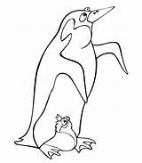 King Penguin Coloring Page At GetColoringscom  Free Printable sketch template