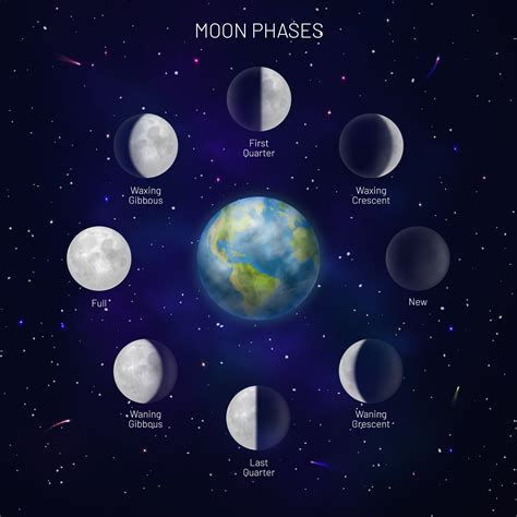 Albums 99+ Wallpaper Phases Of The Moon Individual Pictures Full HD, 2k ...