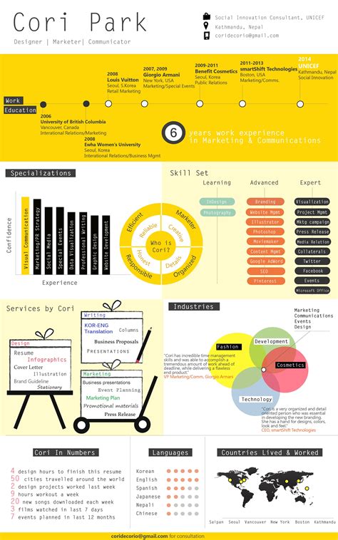 Infographic Resume Template Example