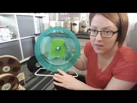 Hamster Wheel Review - YouTube