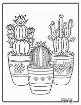 Cactus Coloring Pages Free PDF Printables  Simply Love sketch template