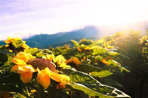 Benguet town reopens tourist spots shuttered by coronavirus | ABS-CBN News