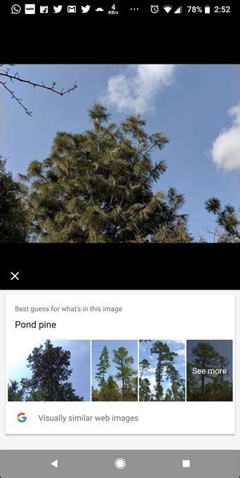 What Is Google Lens and What Are Its Best Features