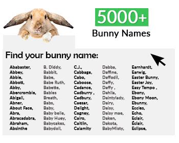 5000+ Most Popular Bunny Names (Top 250 Boy & Girl) - RabbitPedia.com | Bunny names, Rabbit ...