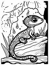 Página Para Colorear De gecko Con Patrones Detallados · Creative Fabrica sketch template
