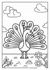 Peacock Coloring Pages39  Free Printable coloring Pages Cute sketch template