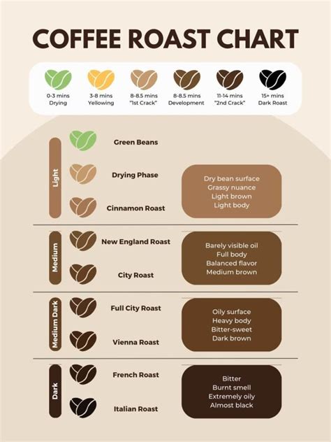 Be The Master! 4 Coffee Roasting Levels Chart: W/ Image & Guide - FnB Tech Indonesia