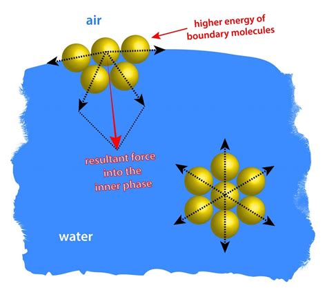 Surface Tension: Definition, Explanation, Examples And Significance