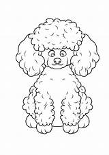 Poodle Coloring Pages  ColoringDraftcom sketch template
