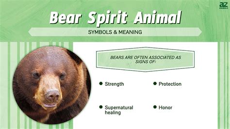 Bear Spirit Animal Symbolism & Meaning - A-Z Animals