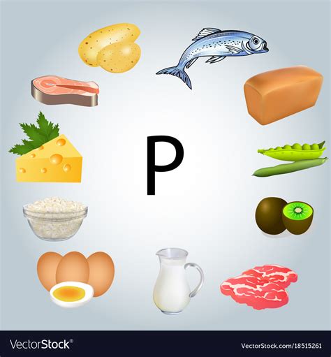 Foods rich in phosphorus Royalty Free Vector Image