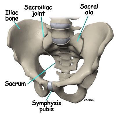 Patient Education | Concord Orthopaedics