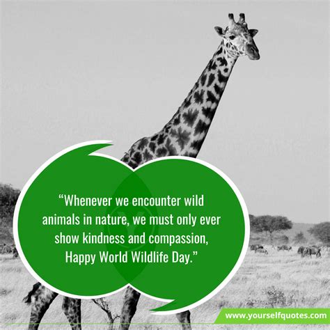 World Wildlife Day Quotes Wishes That Will Help Sustain All Life on Earth