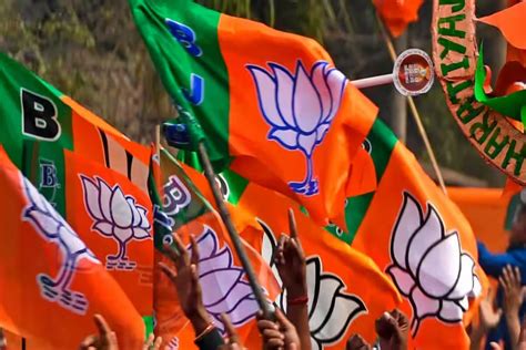 Rebels spoiled BJP's prospects at several places in UP civic polls