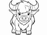Free Printable Buffalo Coloring Pages Coloring Pages sketch template