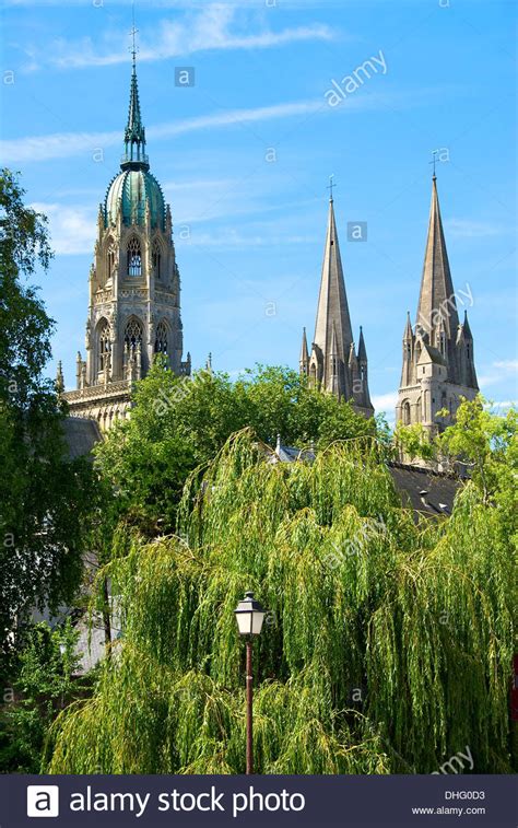 Bayeux Cathedral and willow trees Stock Photo - Alamy