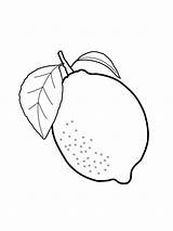 Lemon Coloring Page Download And Print  Home sketch template