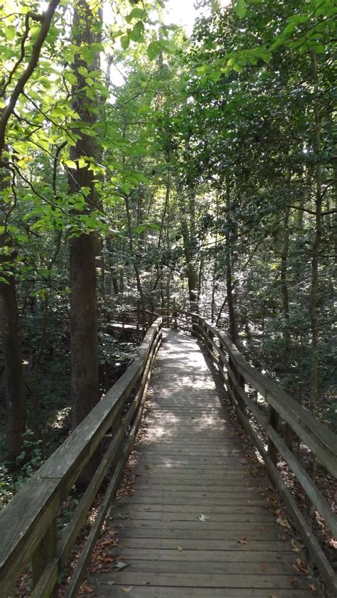 One of the least visited: Congaree National Park – National Park Units