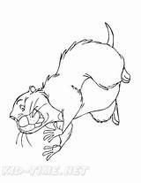 Gopher Coloring Book Page sketch template