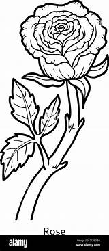 Rose Art Coloring Pages sketch template