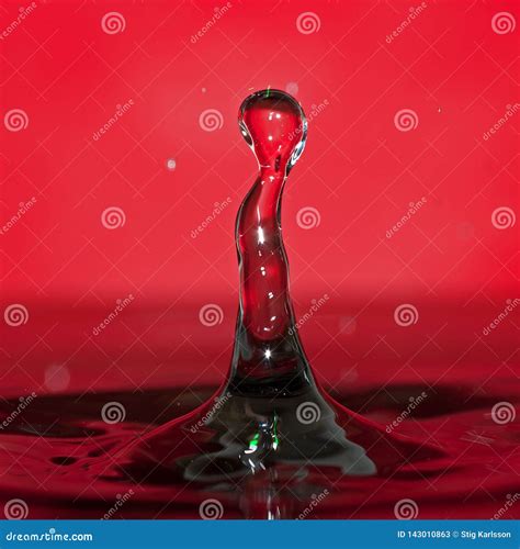 Macro shot of water drops. stock image. Image of concepts - 143010863