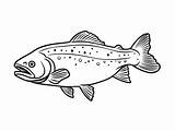 Trout Coloring Sheet  Page sketch template