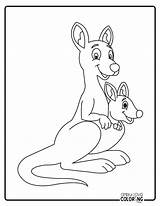 19 Kangaroo Coloring Pages Free PDF Printables  Simply Love sketch template