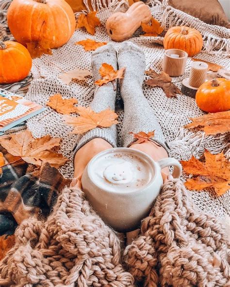 a cup of hot chocolate sits on a blanket with autumn leaves and pumpkins around it