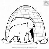 Igloo Polar Bear Coloring Pages sketch template