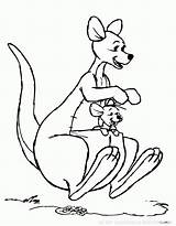 Free kangaroo Drawing To Download And color  Kangaroo Coloring Pages sketch template
