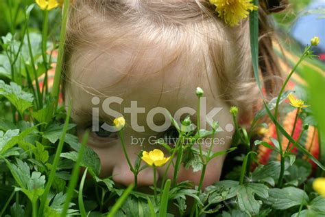 Little Girl On Grass Stock Photo | Royalty-Free | FreeImages