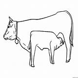 Farm Cow Coloring Page » Turkau sketch template