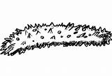 Free Sea Cucumber Coloring Page  Printable Coloring Pages For Kids sketch template