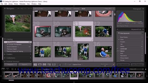 Lightroom Classic CC Tutorial Using Keywords Adobe Training - YouTube