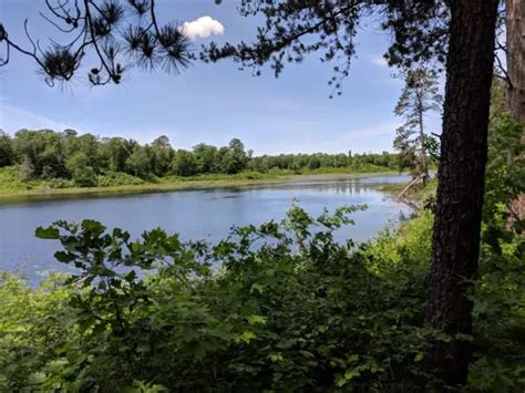 10 Best Hikes and Trails in Itasca State Park | AllTrails