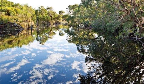 Bundjalung National Park - Alchetron, the free social encyclopedia